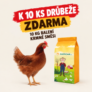 Hnědá kuřice Lohman 10 ks + Krmná směs K3, 10 kg ZDARMA