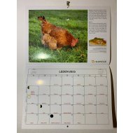 Nástěnný kalendář 2026