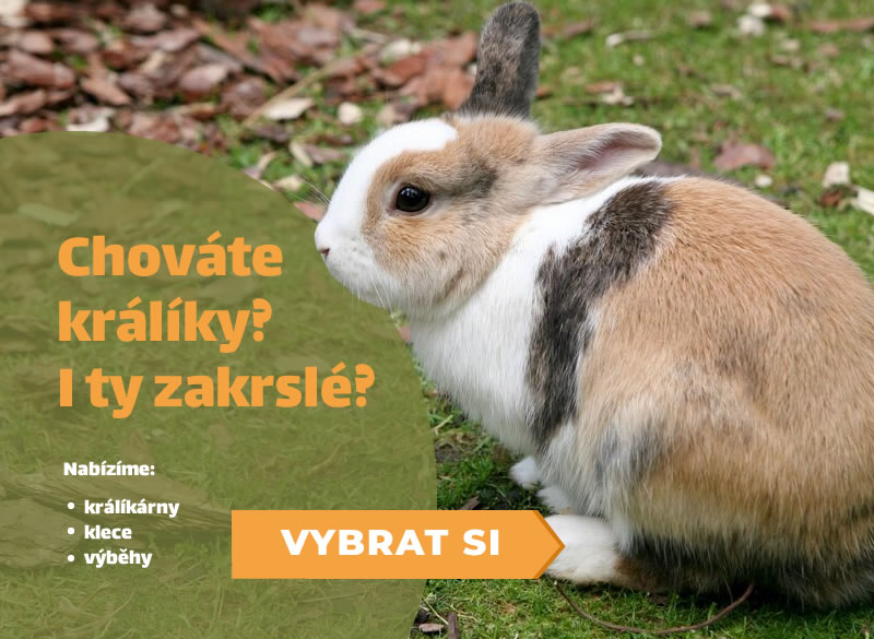 Obrázek slideru 6
