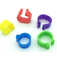 Kroužek na drůbež 10 ks zelený