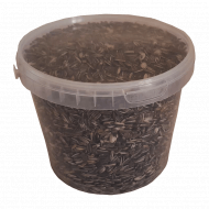 Slunečnice žíhaná