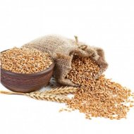 Pšenice - 10 kg