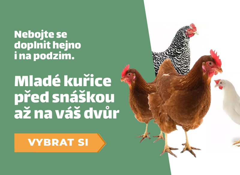 Obrázek slideru 4
