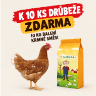 Hnědá kuřice Dominant 10 ks + Krmná směs K3, 10 kg ZDARMA