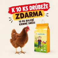 Hnědá kuřice Isabrown 10 ks + Krmná směs K3, 10 kg ZDARMA