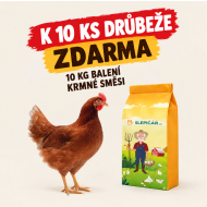 Hnědá kuřice Isabrown 10 ks + Krmná směs K3, 10 kg ZDARMA