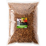 Sušený moučný červ 1Kg