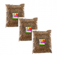 Sušené larvy bráněnky