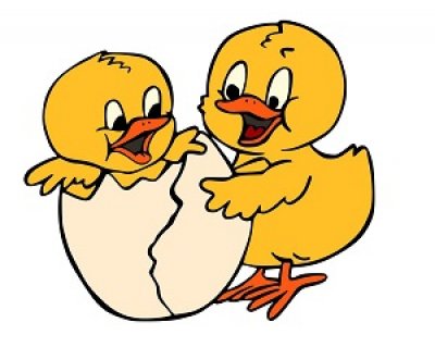 Blog - jaro - Slepičář