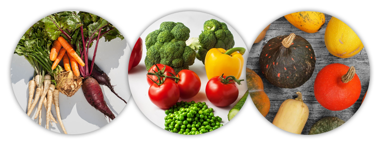 zeleninový mix - vhodné nebo nevhodné pro slepice?