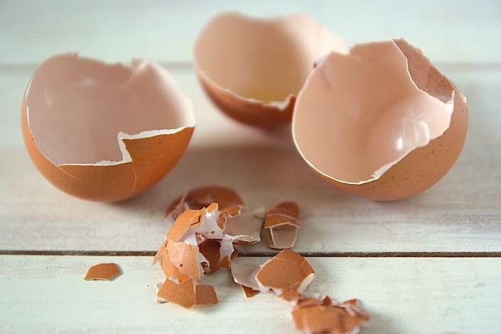 Proč mají vejce slabou skořápku?