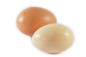 Kvalita vajec na českém trhu