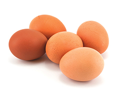 Jak skladovat vejce?
