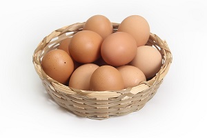 Jak vybrat násadová vejce