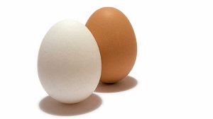Mají vitamíny vliv na produkci vajec?
