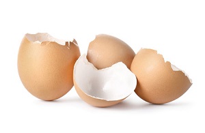 Užitečné rady, jak využít vaječné skořápky