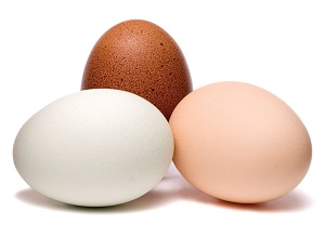 Co se děje při líhnutí uvnitř vajíčka?