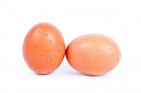 Bílefeldky a jejich pozoruhodně velká vejce