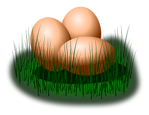 Velikost vajec: je možné ji ovlivnit?