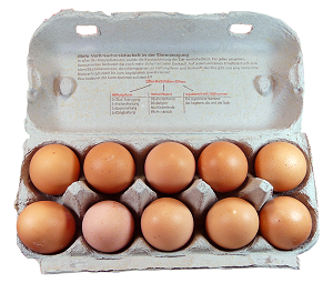 Vyznejte se ve zdánlivě nesmyslném značení vajec