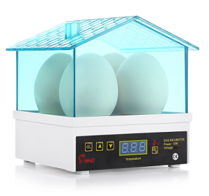 Jak patří vajíčka do líhně?