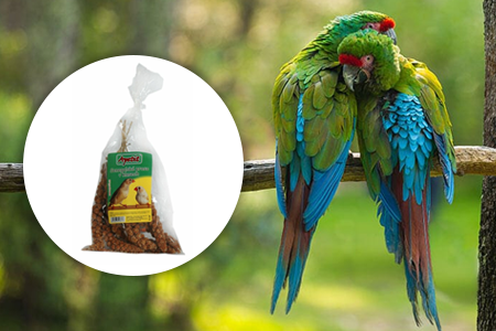 Exotické ptactvo v domácím chovu: krása, nároky a správná péče